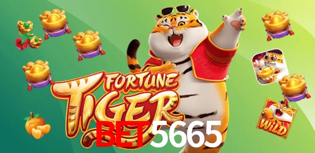 Bonus Features bet5665